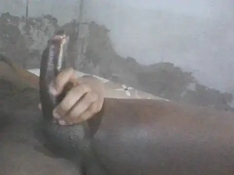 McGyverBBC online show from February 20, 6:19 am