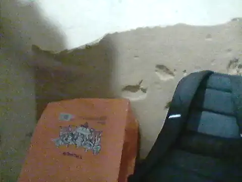 MarsWood online show from October 10, 8:19 am