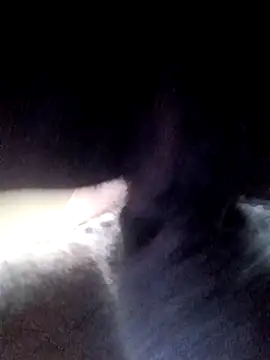 yellowwetfox online show from March 21, 1:37 pm