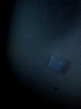 yellowwetfox online show from March 29, 3:39 am