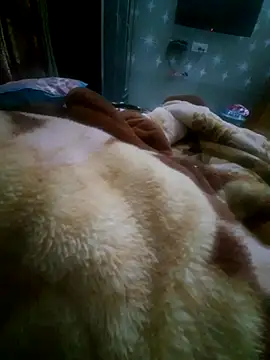 limtguys online show from November 12, 2:01 pm