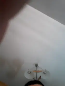 Pitbul889 online show from November 1, 6:45 pm