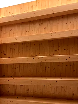 Fellix online show from November 17, 8:39 am