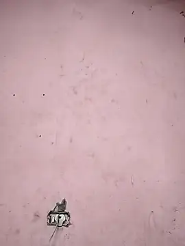 Sliced Digit online show from March 9, 10:41 pm