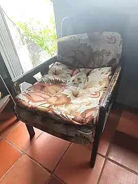 Blanco2023 online show from September 15, 5:47 pm