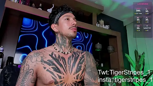 TigerStripes1  online show from March 9, 12:31 am