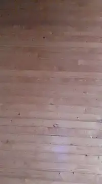 Snapshot of aliosa23 chatting on January 21, 11:40 am aliosa23 online show from January 21, 11:40 am